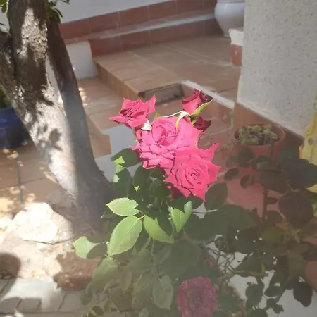 Casa de Férias El Madrono De La Encantada *